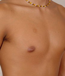 Rafael 3 5c5ac0119d581.jpg