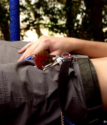 Violet Boy 2 5c5d4ab535b42.jpg