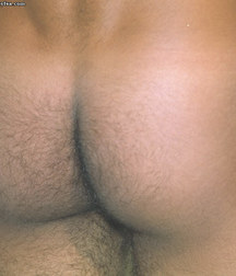 Flavio 5c5fcaf08b458.jpg