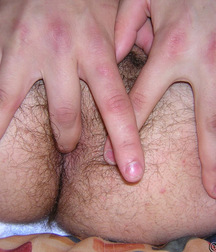 Bommer  5c614031253a9.jpg