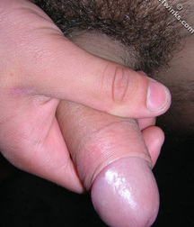 Bommer  5c6140c9f131a.jpg