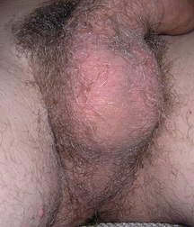 Bommer  5c61414eb8bee.jpg