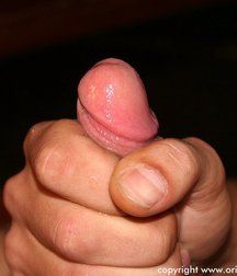 Gino 5c615337c467f.jpg