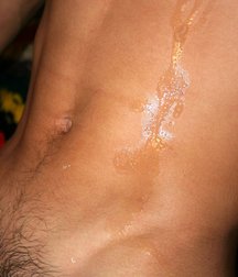Gino 5c61534bb7855.jpg