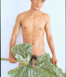 Thai boys mix 5c62982982ae3.jpg