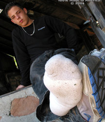 Odds n' ends 11 5c66a29f1f45b.jpg