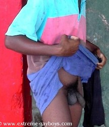 Basilo 5c6a907a67b1b.jpg