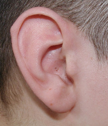 Tolik 5cc93fbae2008.jpg