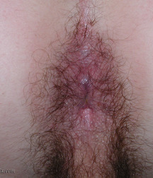 Tolik 5cc9404ef1e74.jpg