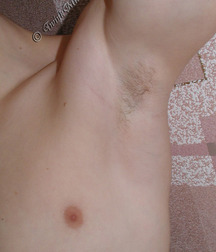Tolik 5cc941a851334.jpg