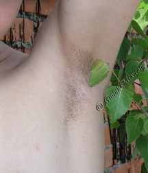 Venok 5ccbda24ea186.jpg