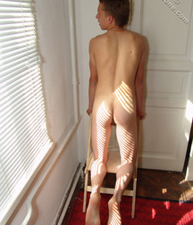 Willy 5ccd426548bb4.jpg