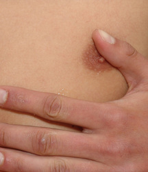 Willy 5ccd43973c2ad.jpg