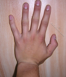 Alin 5cd50c47e3259.jpg