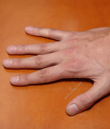 Carlos 5cda63d07d832.jpg