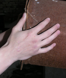 Darvin 1 and 2 5cdd123078760.jpg