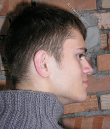 Darvin 1 and 2 5cdd127da7dda.jpg