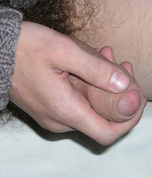 Darvin 1 and 2 5cdd12e54a58c.jpg