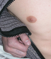 Darvin 1 and 2 5cdd134cb6b09.jpg
