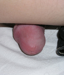 Darvin 1 and 2 5cdd14240df64.jpg