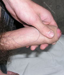 Darvin 1 and 2 5cdd14b236f2e.jpg