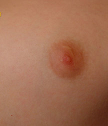 Seba 5cf8bda69540b.jpg
