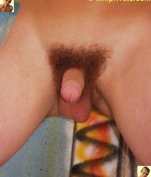 Andreas 5d1069930be03.jpg