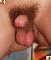 Andreas 5d106994bd53e.jpg