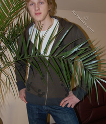 Brad 5d173a57ae12c.jpg