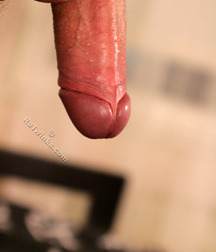 Zoltan 5d1db995846f2.jpg