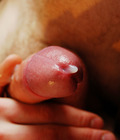 Velli 5d1f1c84be7db.jpg