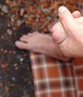 Scenik 5d1f2d6d05a50.jpg