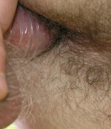 Alex 4 5d26f3c70db7d.jpg