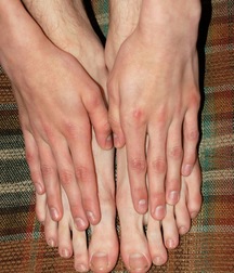 Mitjai 5d30119d004a2.jpg