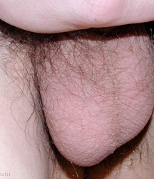 Slam 2 5d39583600ee4.jpg