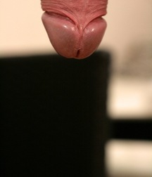Larik 5d565b674af3a.jpg