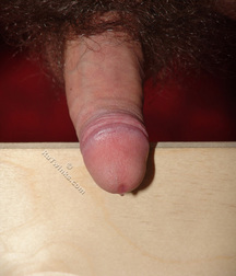 Tsigan 5d68be2982db8.jpg