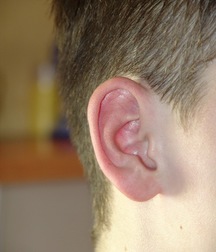 Makar,Fit Lad! 5d583257ecd96.jpg