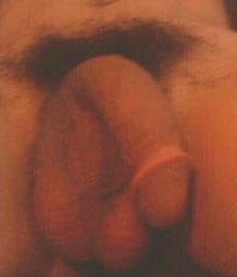 Shower Guy and Snow Peni 55920ab001477.jpg