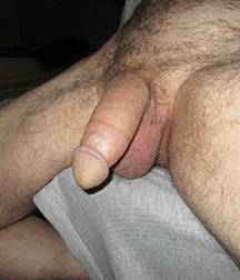 Assorted Cocks 58bff405348c8.jpg