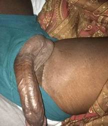 Assorted Cocks 58bff40da47a3.jpg