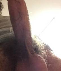 More assorted Cocks 58c8a67723c98.jpg