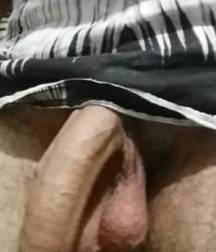 More assorted Cocks 58c8a677bfec1.jpg