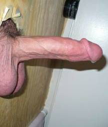 Cocks and More 58d7cb40ae96d.jpg