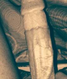 Cocks and More 58d7cb448ad58.jpg