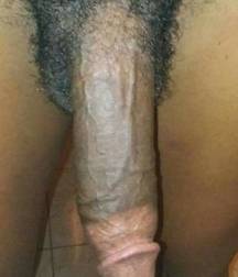 A handfull of cocks 58dc754f8efc0.jpg