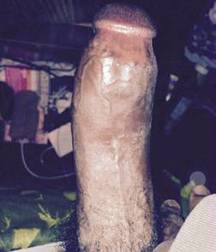 Cocks and More 58e01fb1c777a.jpg