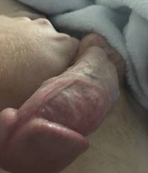 A Cocktastic Collection