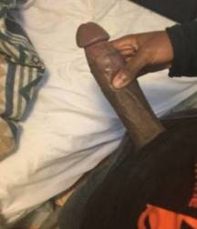 More Cocks Of New York - Hard and Soft Edition 5a0d7ca4206a7.jpg