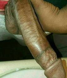 More Cocks Of New York - Hard and Soft Edition 5a0d7caf5498b.jpg